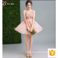 Nifty High Fashion Women Party Short Elegante Guangzhou Flower Girl Evening Dresses